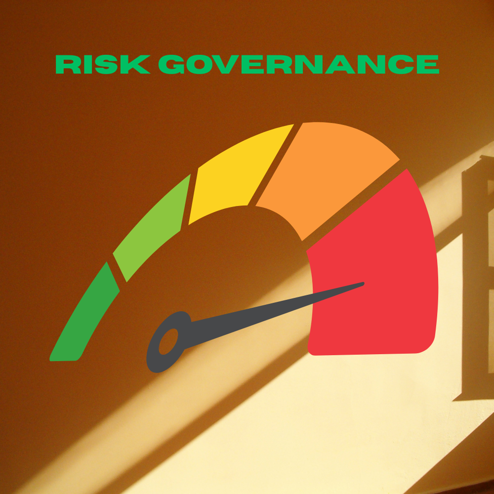 Agile Risk Governance Process